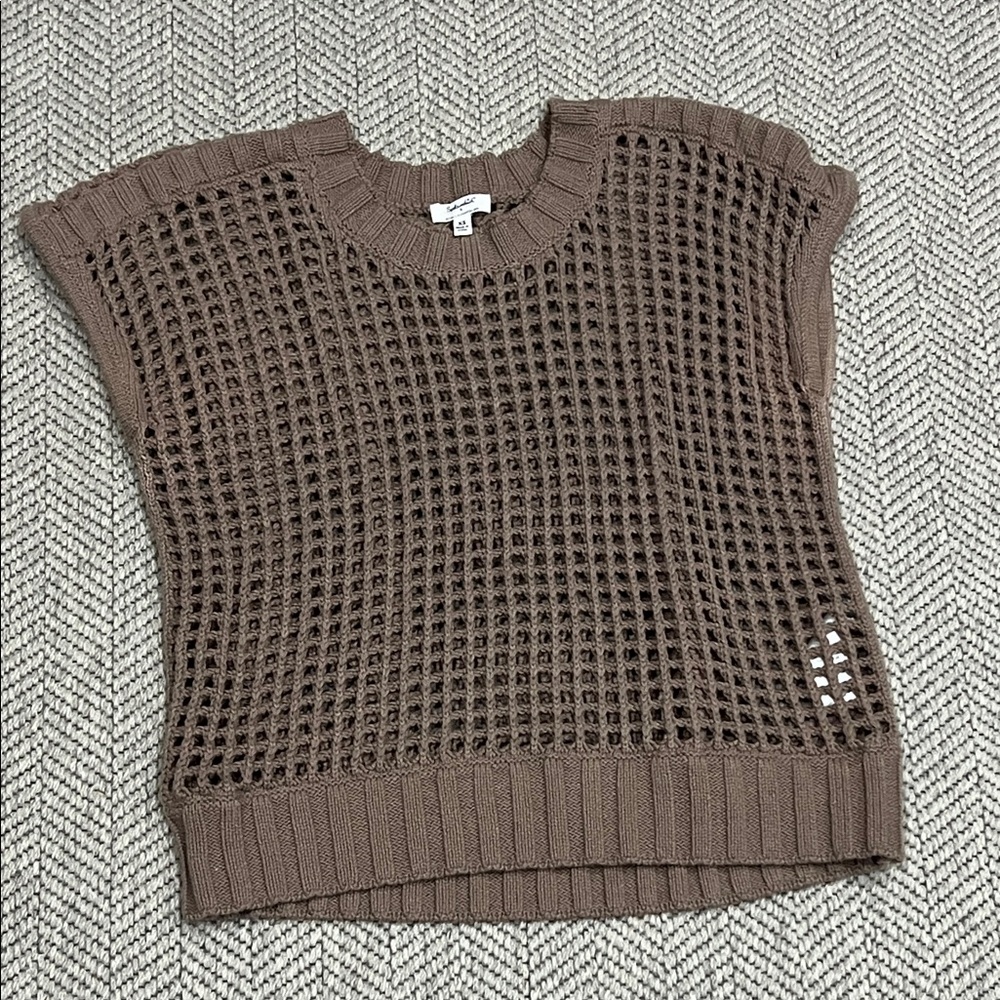 Splendid Crochet Knit Sweater in Taupe